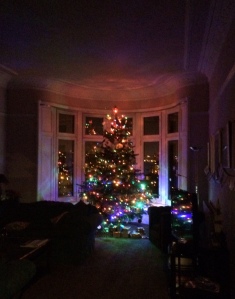 Our Midwinter Tree